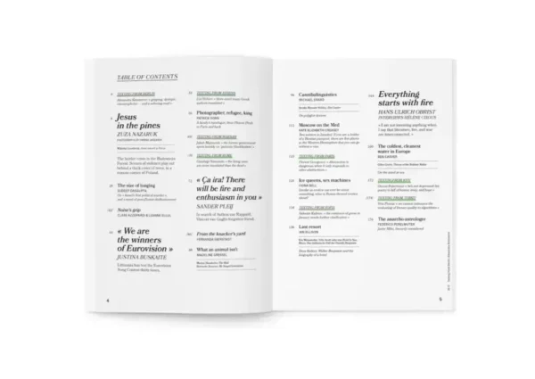 Issue Five - Image 6