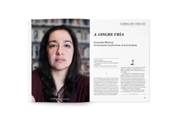 Issue Two - Image 5