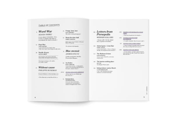 Issue Six - Image 2